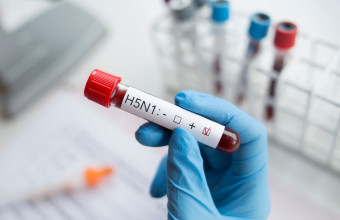 H5N1 γρίπη των πτηνών 